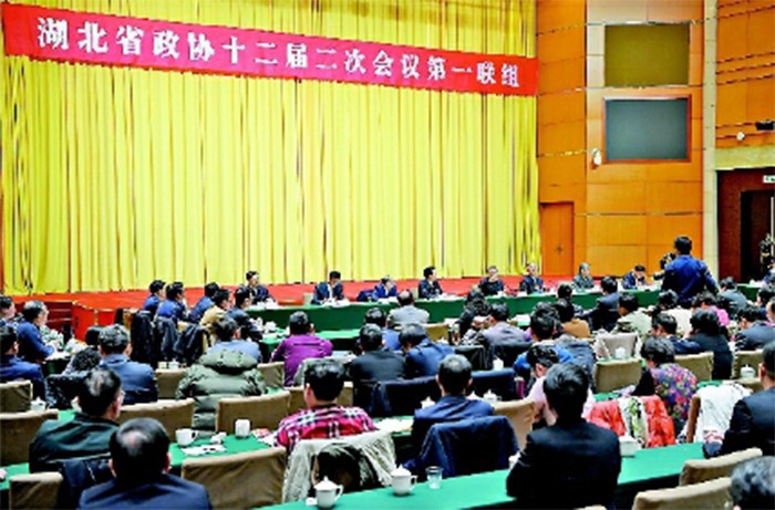 1月16日下午，湖北省委書記蔣超良參加第一聯(lián)組討論并講話。.jpg